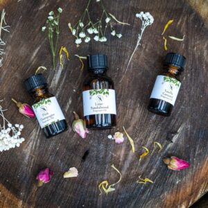 Three amber bottles of Northern Aroma fragrance oils—Pink Champagne, Lime Sandalwood, and Vanilla Caramel—arranged on a rustic wooden surface. Scattered around them are dried flowers, rosebuds, white botanicals, and yellow petals, creating a natural, artisanal apothecary aesthetic.